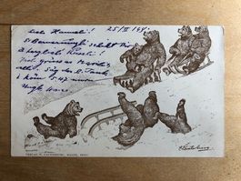 Antike Postkarte, Bärenkarte, Bern, Lauterburg, 1898