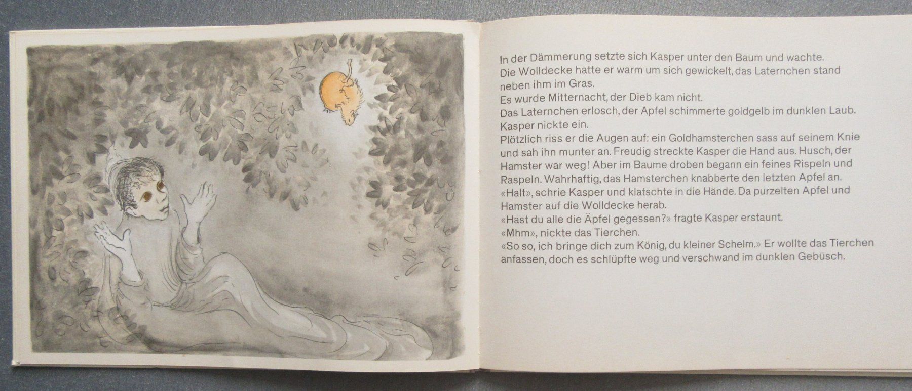 Libri: Der Goldapfelhamster - Ein Märchen von Therese Keller – Usato da Auenstein venduto da Padabimbim 2