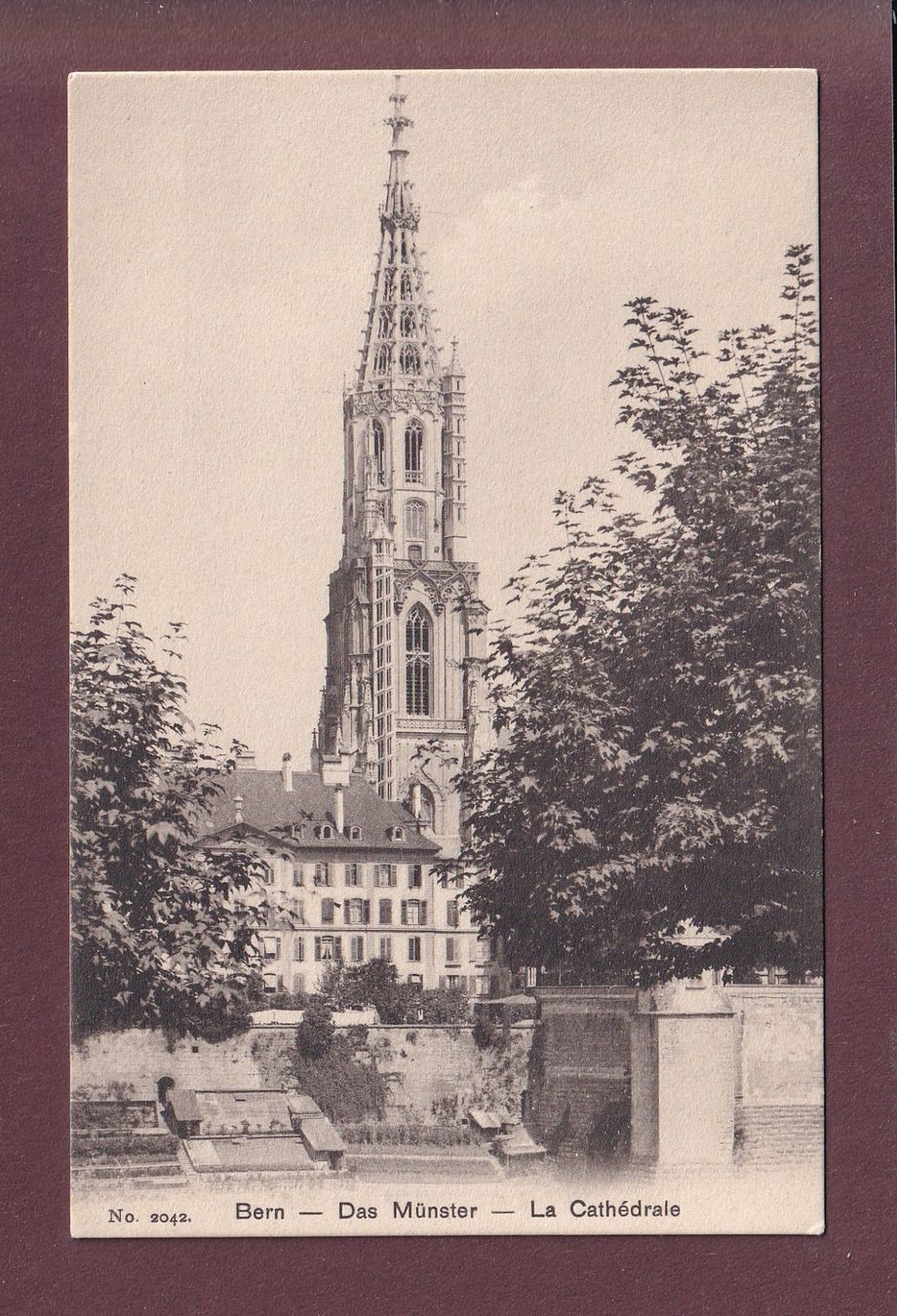 Cartes postales: BERN - Münster – D'occasion à Pully par nicecards