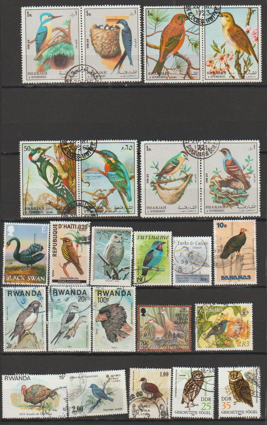 Tutti i francobolli: Oiseaux, état d'occasion – Usato da Crans-Montana venduto da kira56