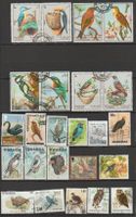 Oiseaux, état d'occasion