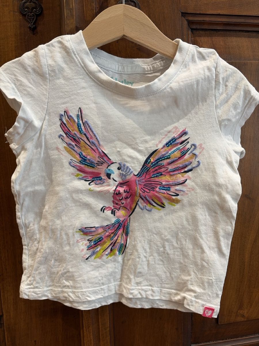 Camicette, T-shirt & Top: Hatley T-Shirt Gr. 4 mit Papagei – Usato da Pratteln venduto da Daily88 2
