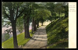 AK Ersigen, Allee zum Rudswilbad