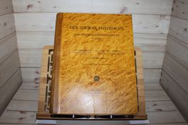 Der Thorax Phthisicus - eine anatomisch-physiologische Studi