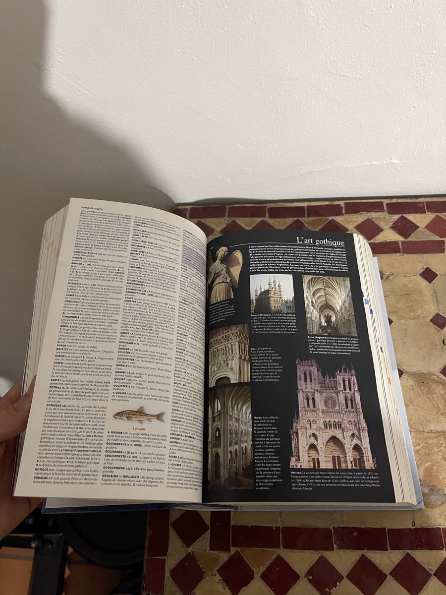 Libri: Dictionnaire Larousse illustré – Usato da Fribourg venduto da Barlocher 6