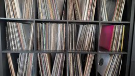 VINYL SAMMLUNG (Anzahl 783) - TECHNO / DUB / DEEP / ELECTRO