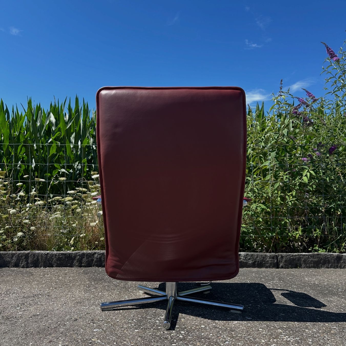 Poltrone: Vintage Ledersessel / Loungesessel – Usato da Zürich venduto da frauflufelberg 5