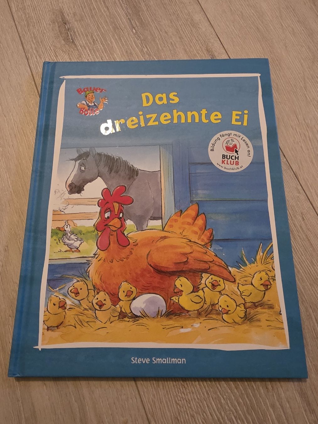 Libri: Kinderbuch "Das dreizehnte Ei"  – Usato da Wigoltingen venduto da Zuckerfee84