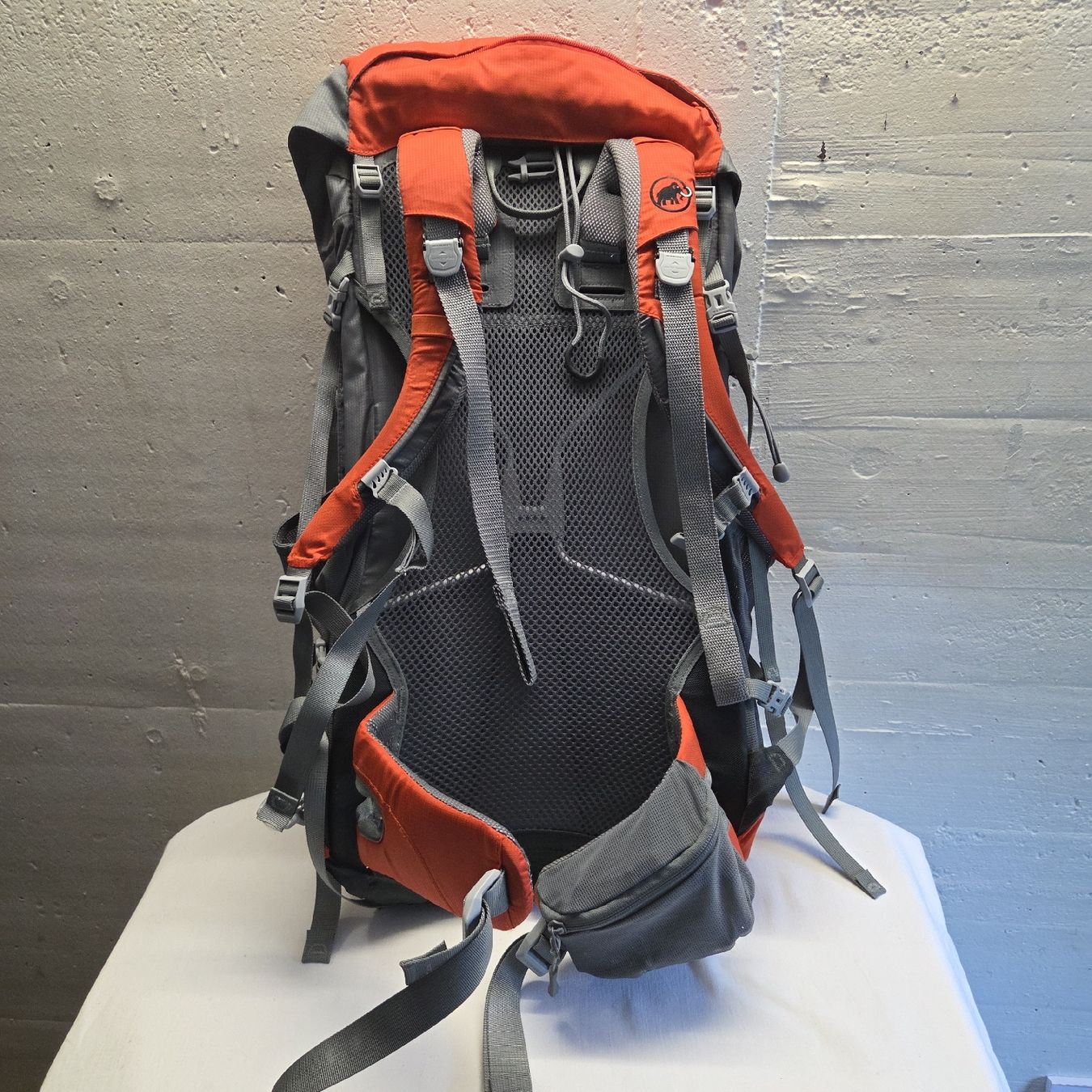 Mammut Zaini: Mammut Rucksack und Leki Wanderstöcke.. – Usato da Stans venduto da Ducati16 6