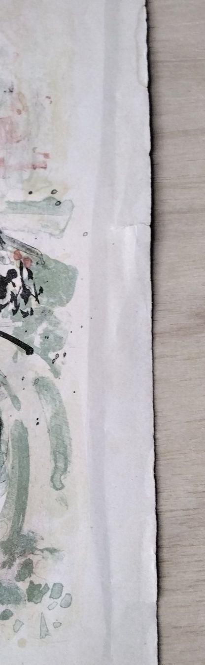 Grafica & Litografie: R. Zender Lithographie 'Probe' signiert – Usato da Cavigliano venduto da zamamasa 3