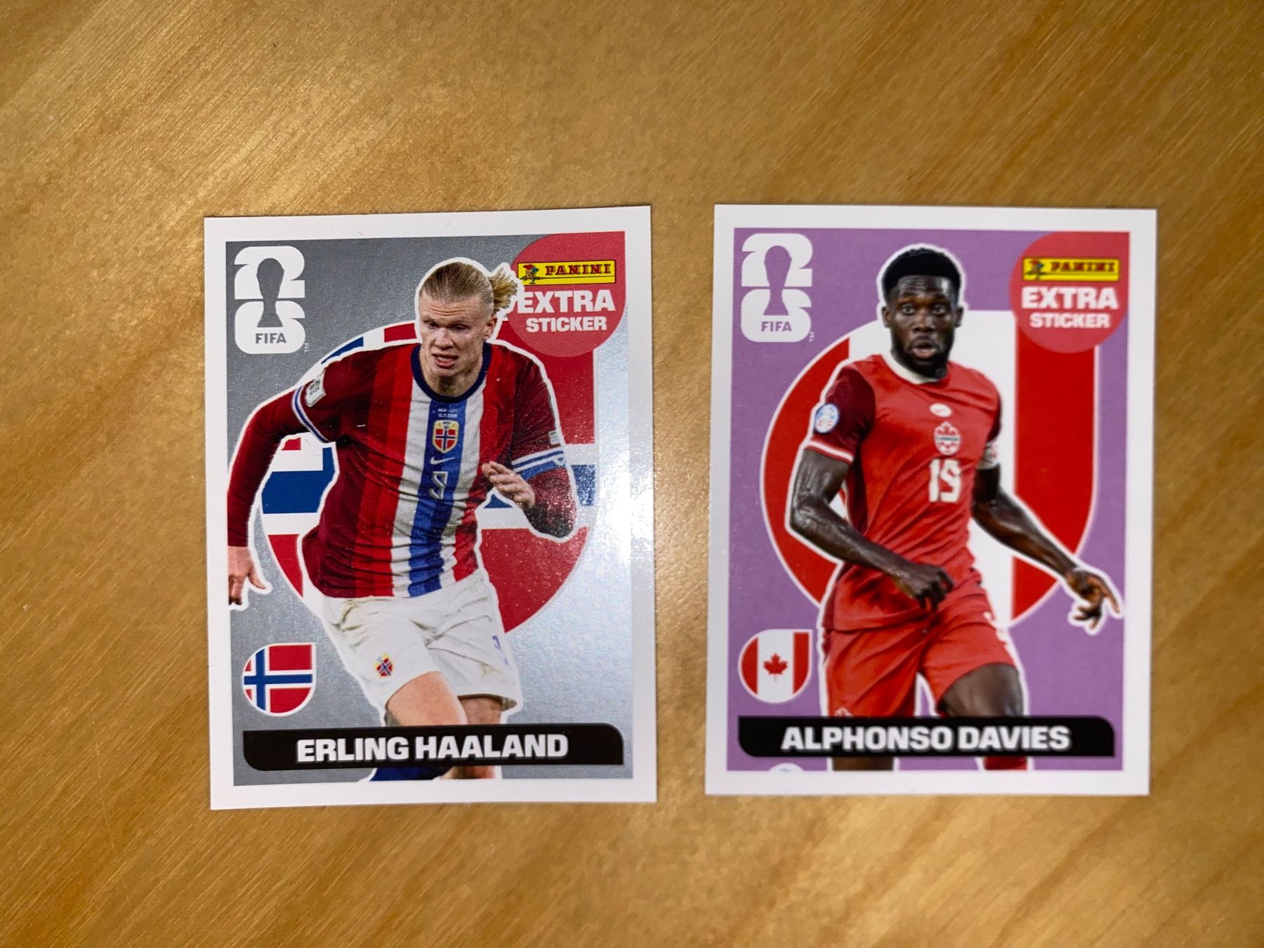 Panini Carte collezionabili: Panini Extra Sticker Haaland Silber & Alphonso Davies – Nuovo (secondo la descrizione) da Unterlunkhofen venduto da PaniNicola