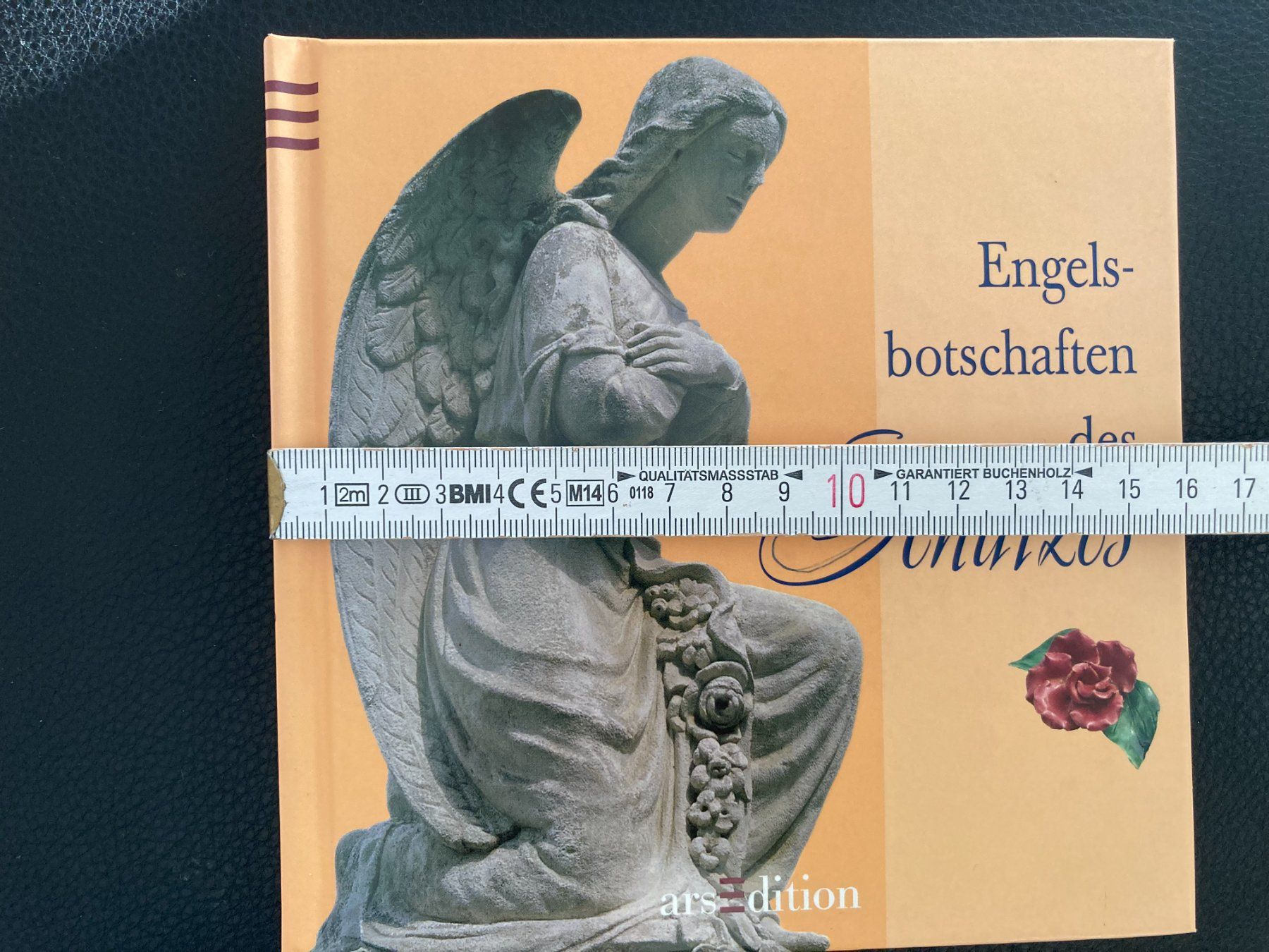 Libri: Engelsbotschaften des  Schutzes   gebundenes Buch – Usato da Subingen venduto da Etageren 6