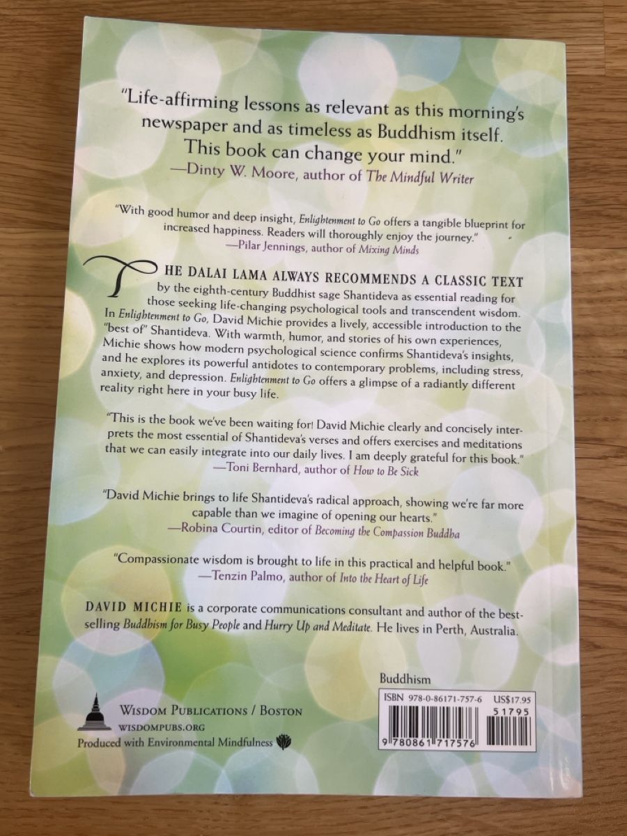 Libri: Enlightenment To Go, David Michie – Usato da Basel venduto da clembou 1