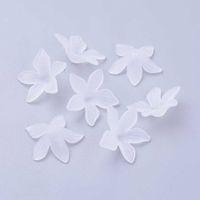 10 Blümli Acryl transparent weiss 27x7mm