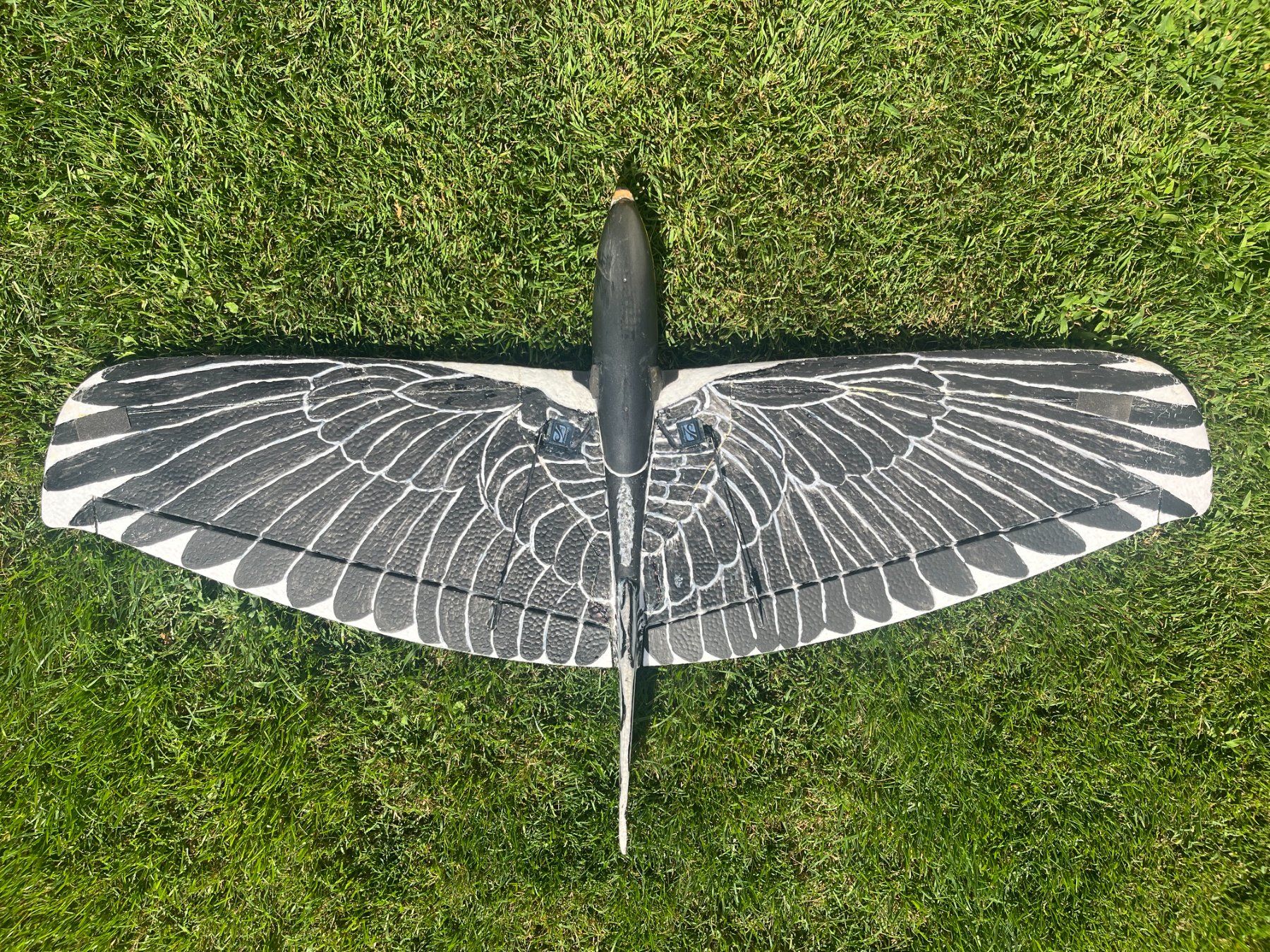 RC Modellbau: Segler ALULA als Adler – Gebraucht aus Buchrain von Bijou3 2