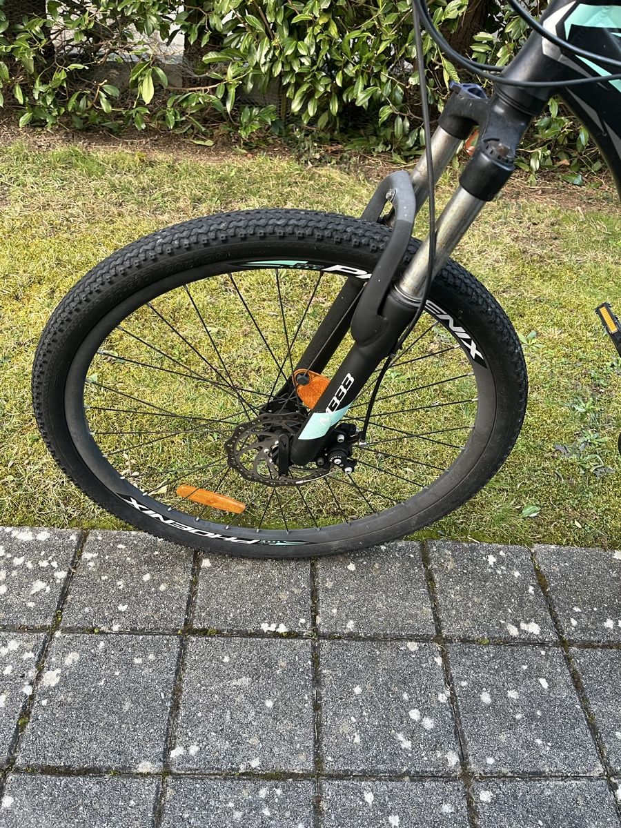 Phoenix Biciclette: Phoenix Velo – Usato da Sarnen venduto da flo_25mp 5