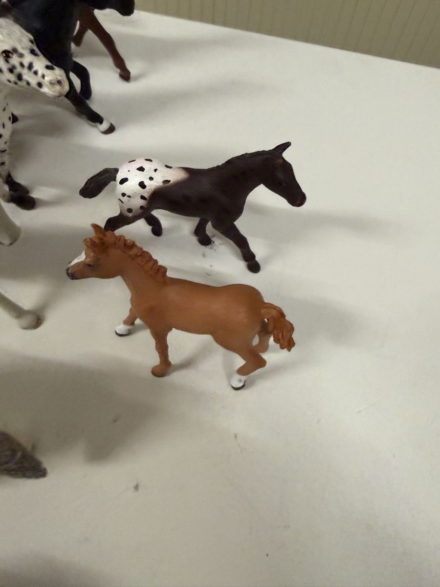 Schleich Giocattoli: Konvolut Schleich 16 Stück – Usato da Mönchaltorf venduto da xhedea_15 5