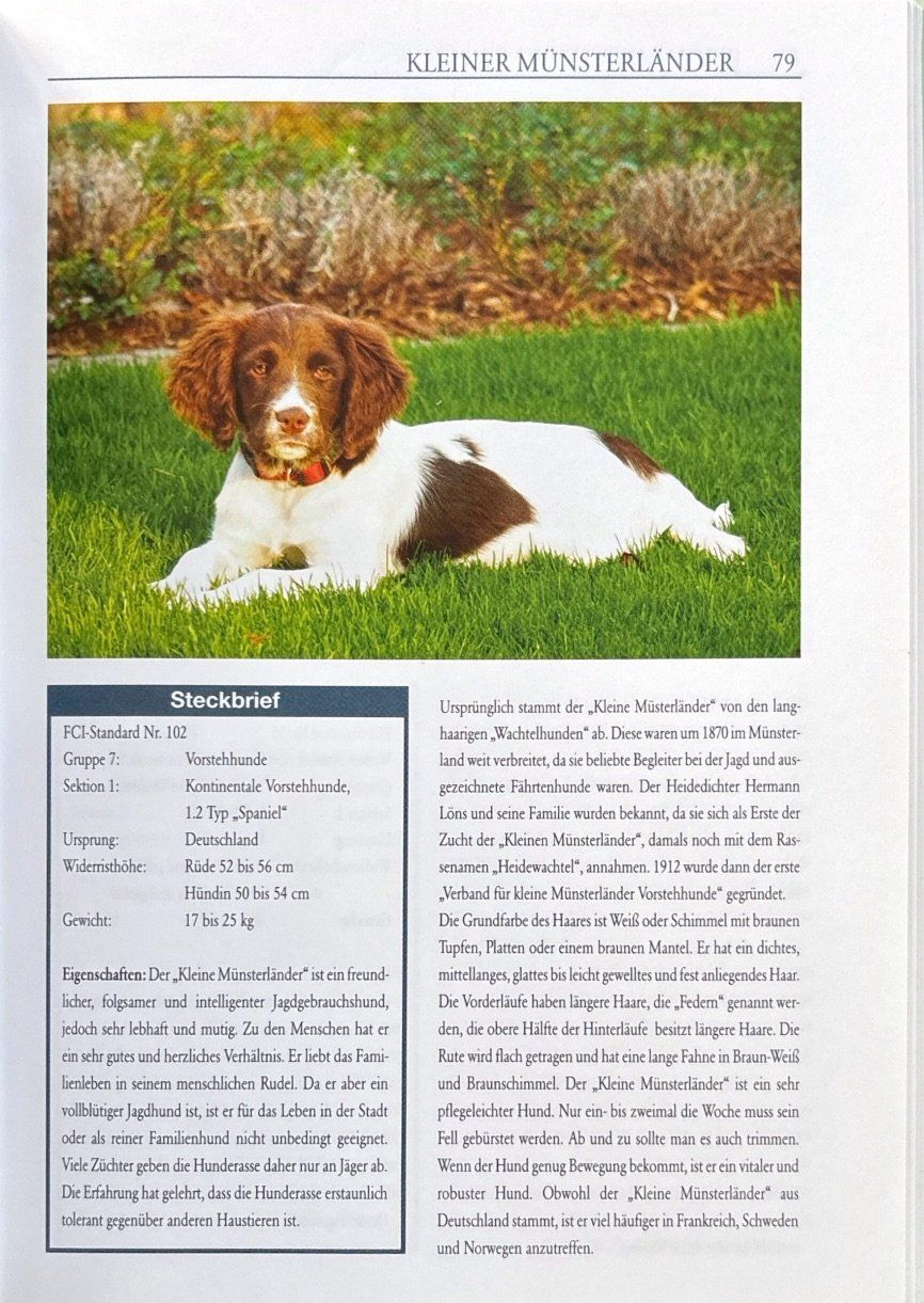 Bücher: Hunde (Garant Verlag) – Neu (gemäss Beschreibung) aus Sarnen von Livres 9