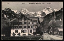 AK Wilderswyl, Hôtel des Alpes, Jungfrau, Mönch und Eiger