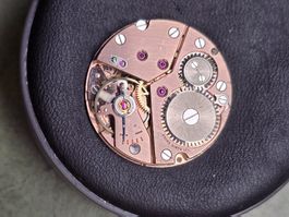 Mouvement Peseu 320
