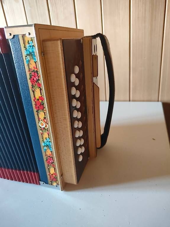 Strumenti musicali: Schwyzerörgeli Ott mit Koffer & Rucksack – Usato da Schönenberg ZH venduto da swiss_mountains 1