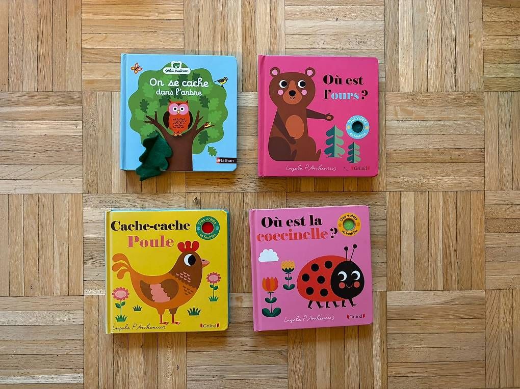 Libri: Livres bébé 12mois – Usato da Onex venduto da morelan 1