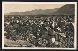 Buchs / Rhein, Totalansicht aus der Voge