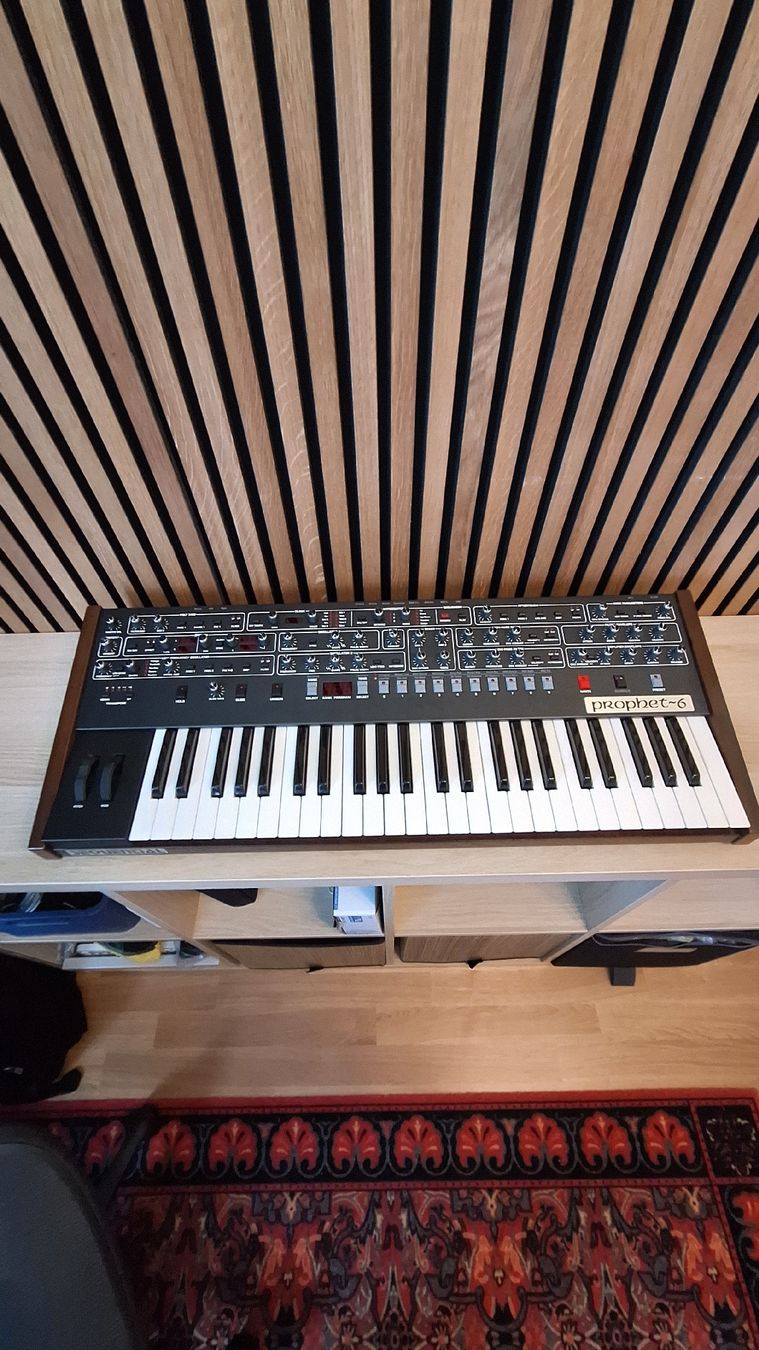 Sequential Musikinstrumente: Sequential Prophet 6 Synthesizer – Gebraucht aus Zürich von simon_h91