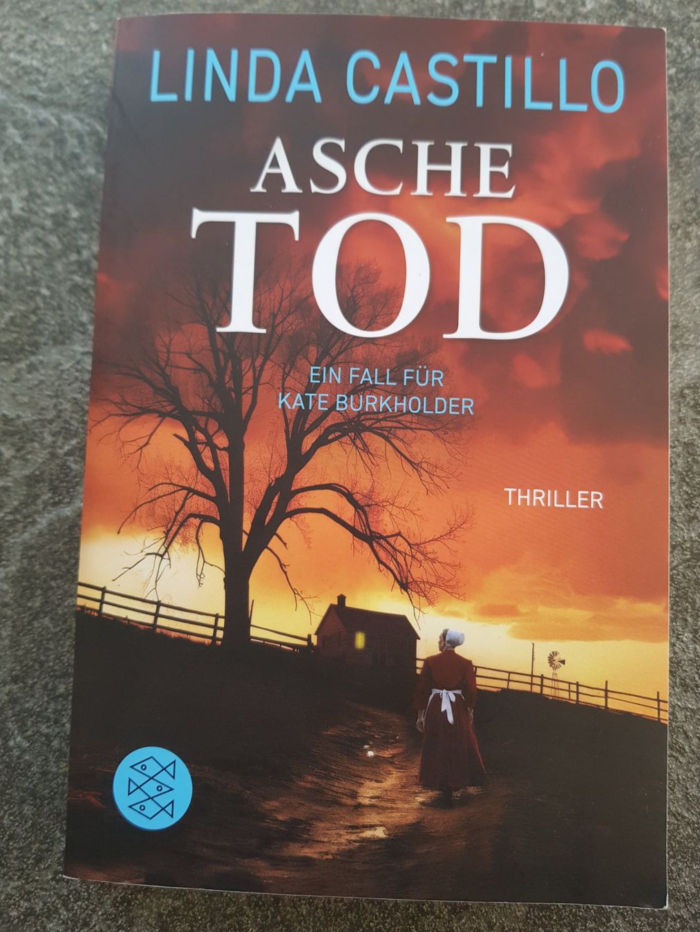 Bücher: ASCHETOD / Linda Castillo / Thriller – Gebraucht aus Dietikon von marconi07