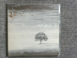 Genesis - Wind & Wuthering - DE