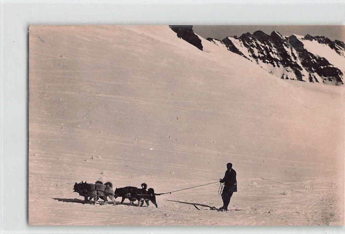 Cartoline postali: Gruss vom JUNGFRAUJOCH Polarhunde 1922 – Usato da Winterthur venduto da SchatzchischtliWinti