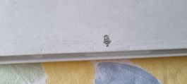 Servierplatte