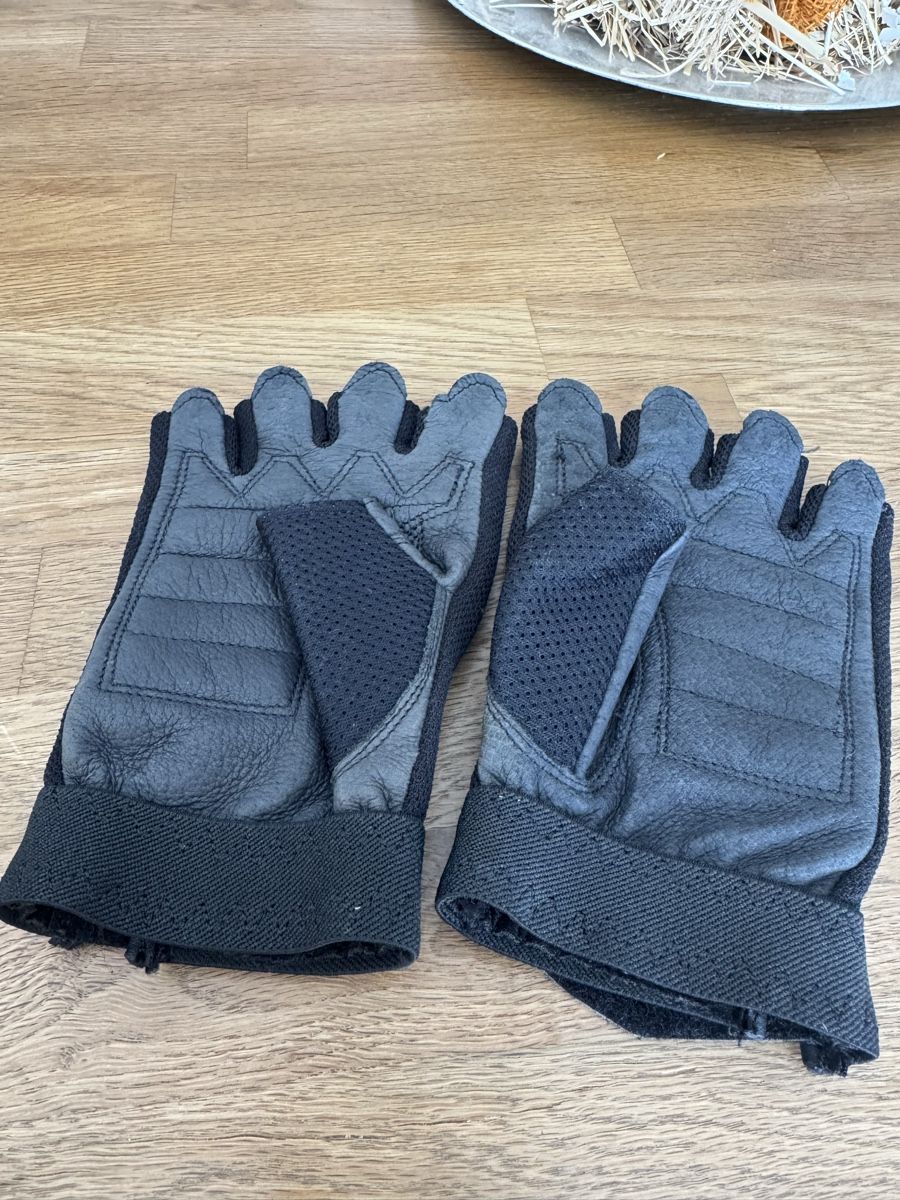 Harley-Davidson Handschuhe & Handstulpen: Harley Davidson Handschuhe Gr.L – Neu (gemäss Beschreibung) aus Seewen SO von Muggi3 1