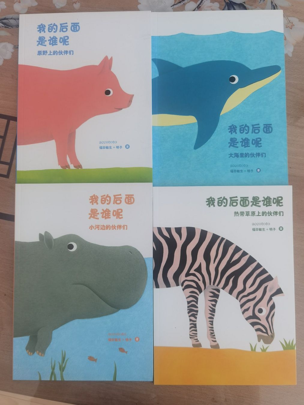 Libri: Chinesischer Bildbücher 4 Bücher – Usato da Zug venduto da Major1983