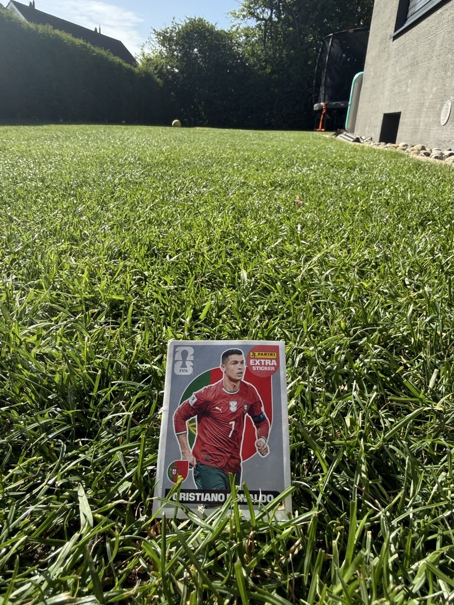 Sticker: Ronaldo Extra Sticker Silber WM 2026 – Usato da uster venduto da eve008