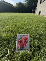 Ronaldo Extra Sticker Silber WM 2026