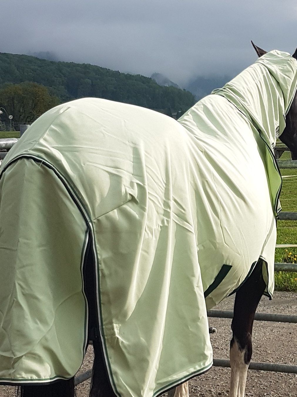 Coperte: Rambo Sweet Itch Hoody, 155cm – Usato da Farnern venduto da Edelweiss_4539 3
