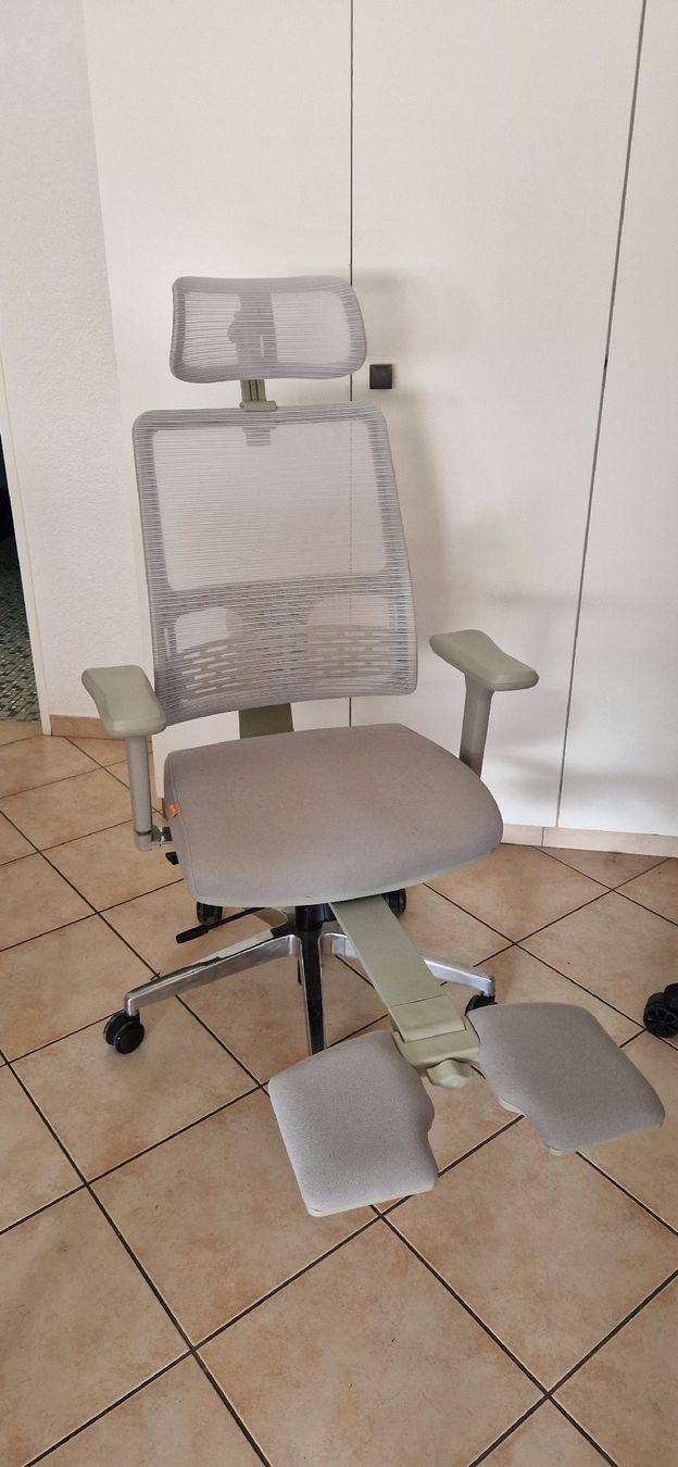 Sedie: Chaise ergonomique Newtral Chair – Usato da Bière venduto da AlexBurkhardt 2