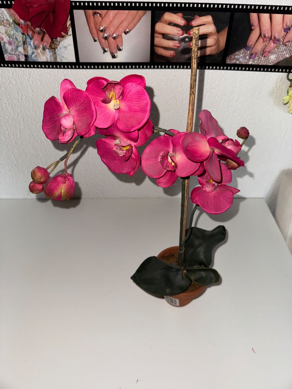 Piante & sementi: Künstliche pinke Orchidee – Usato da Grosswangen venduto da Second_hand_paradise