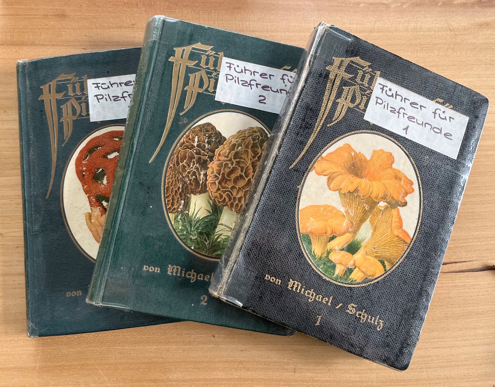 Libri: Pilzbücher diverse antiquarisch – Usato da Märwil venduto da tricholoma 8