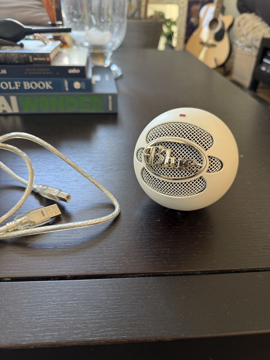 Microfoni: Blue Snowball microphone – Usato da Zürich venduto da sunnykickz