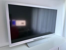 Fernseher Philips 42 Zoll