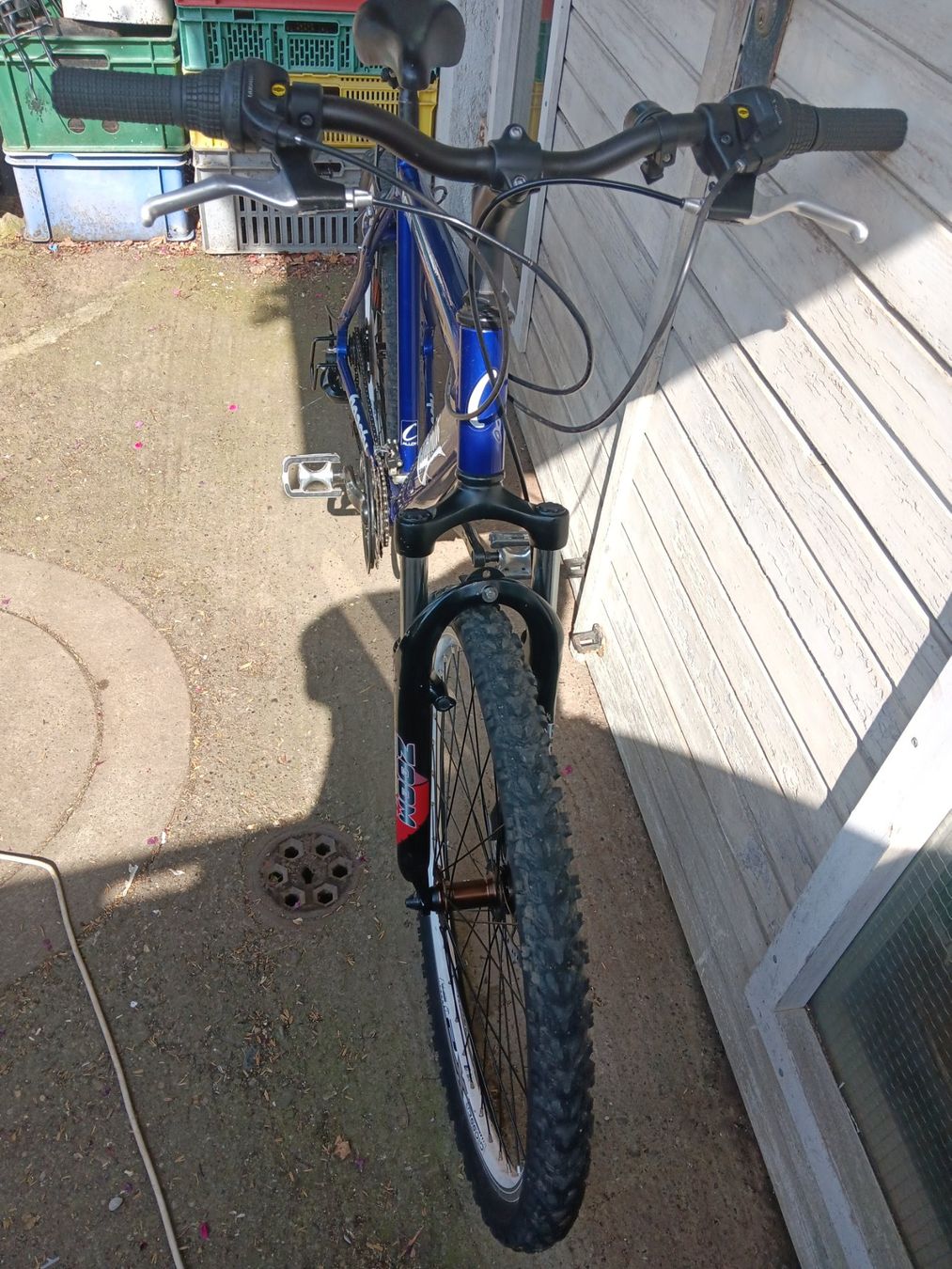 Velos: Velo California beasty – Gebraucht aus Dietikon von Sauber64 7