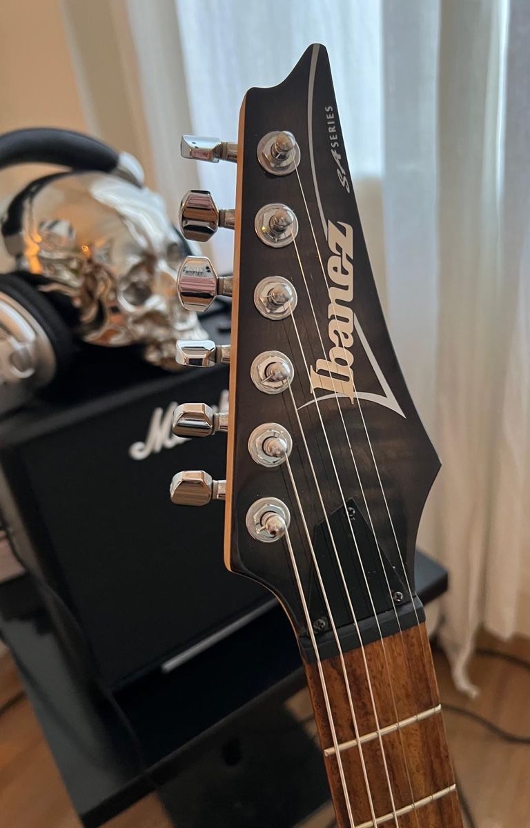 Ibanez Strumenti musicali: Ibanez SA220 FM E Gitarre * frisch ab Service, inkl.Zubehör – Nuovo (secondo la descrizione) da Basel venduto da R.G.R__ 2