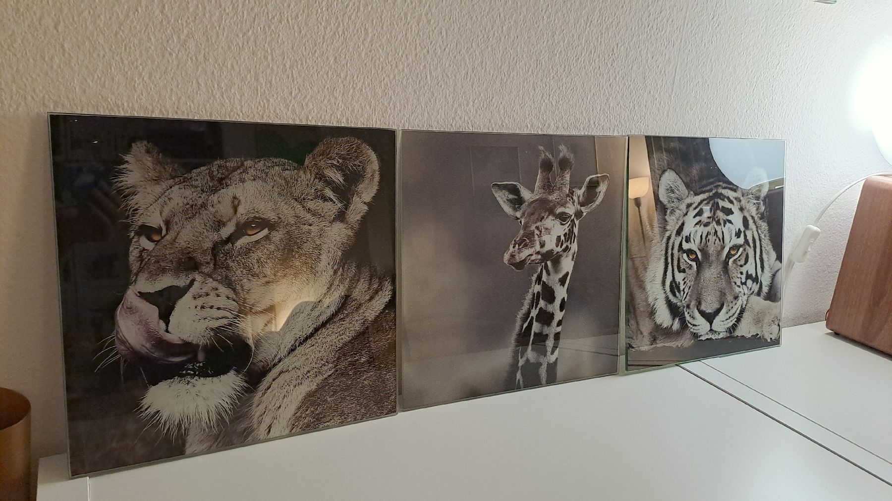Posters & Illustrations: Tableaux animaux noir et blanc – Neuf (Voir description) à Rolle par lea_6mr2 1