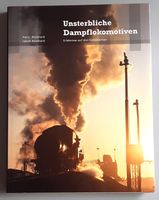 Eisenbahnbuch, schönes Dampfeisenbahnbuch (10)