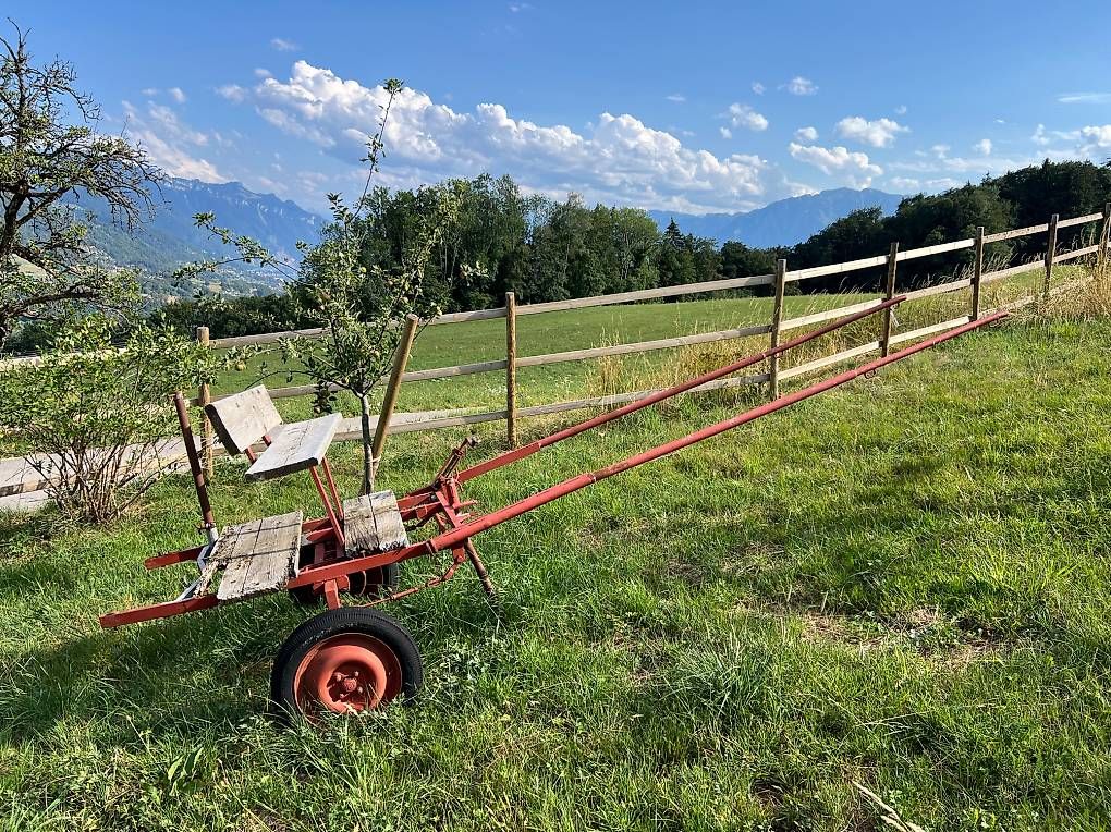 Calèches: Calèche 2 roues – D'occasion à Monts-de-Corsier par gta_7kkn
