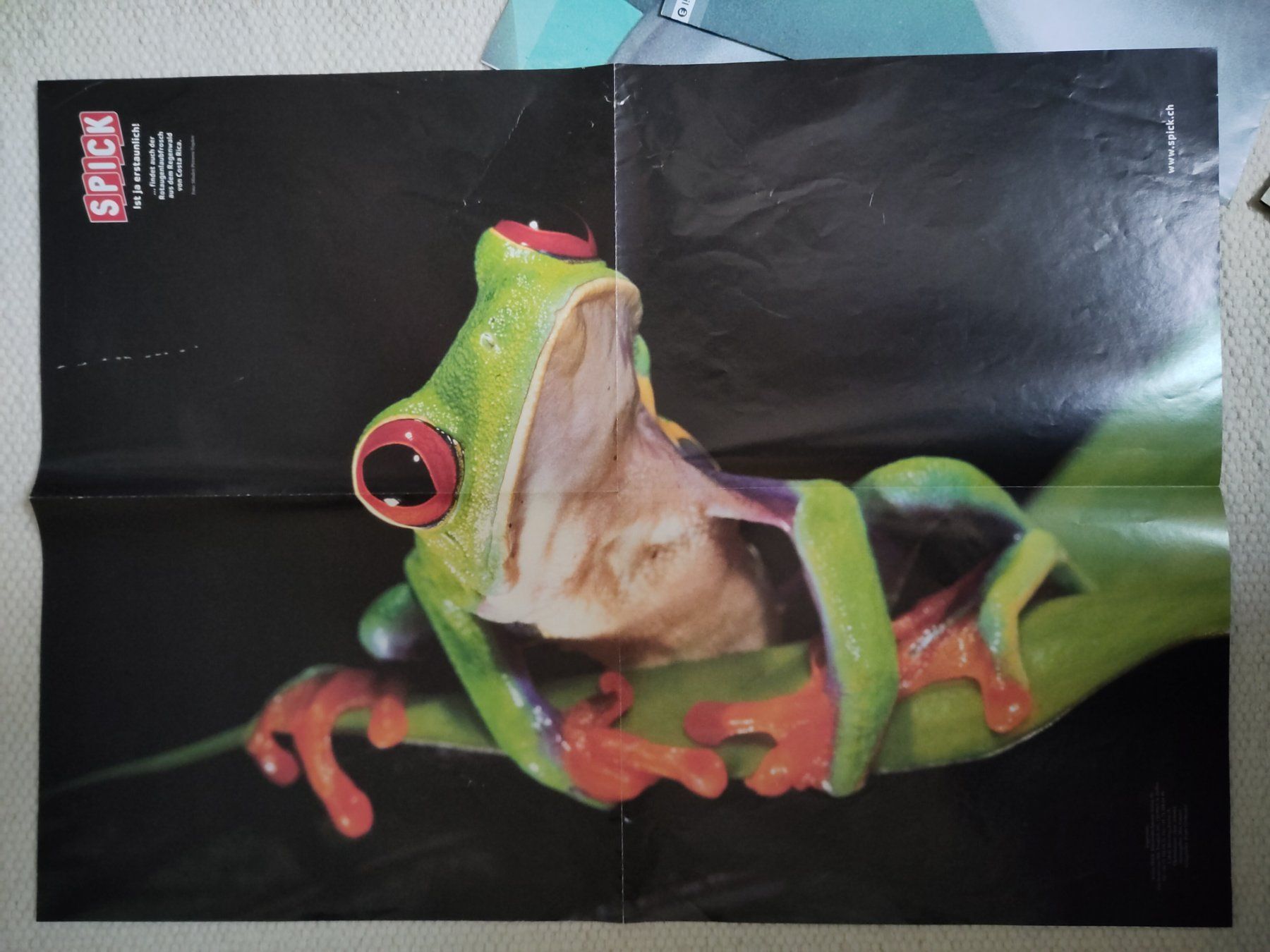 Foto & Immagini: Spick, Tier-Poster, 4x – Usato da Basel venduto da Bar08 3