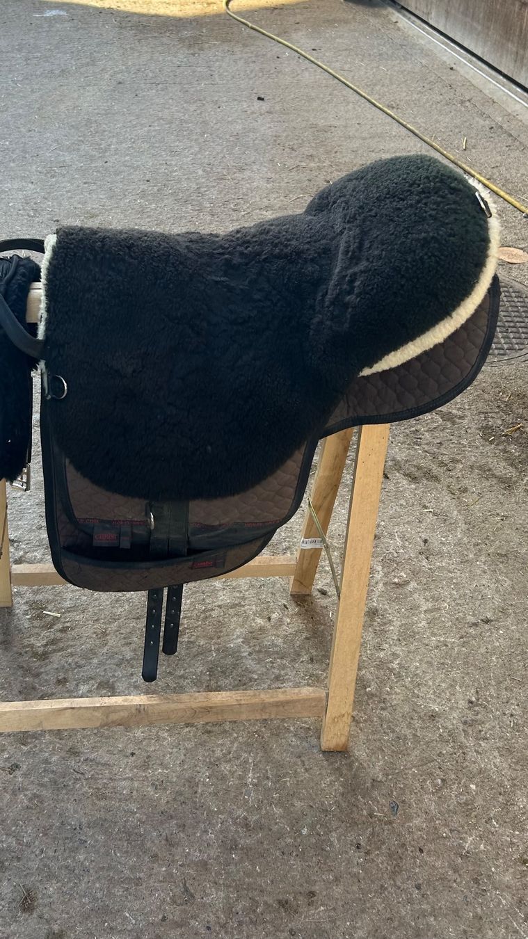 Christ Selle & Accessori: Fellstattel – Usato da Bern venduto da Lisaheller2000