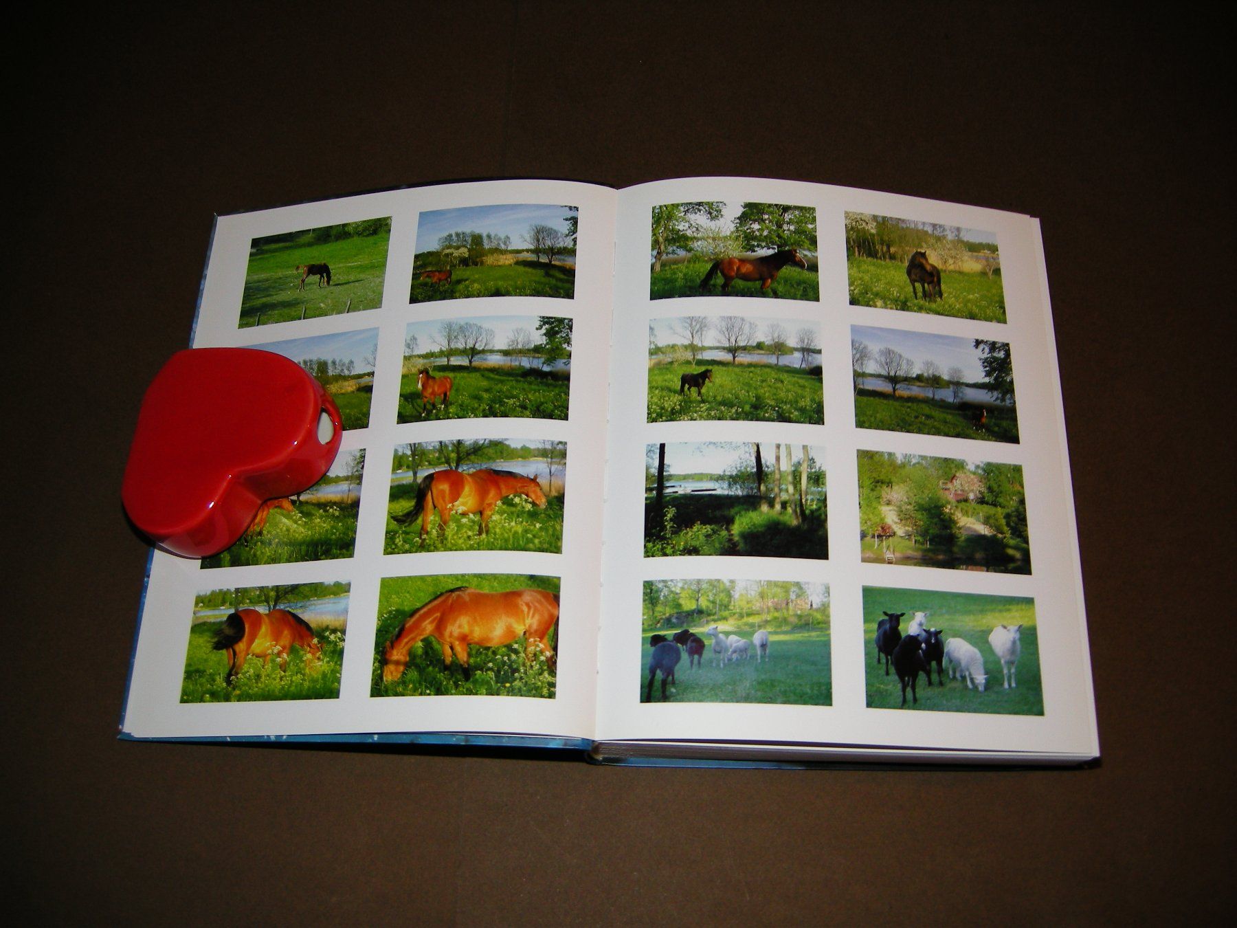 Libri: Sichtbare Welt / Peter Fischli, David Weiss – Usato da Aarau venduto da Pearlz 2
